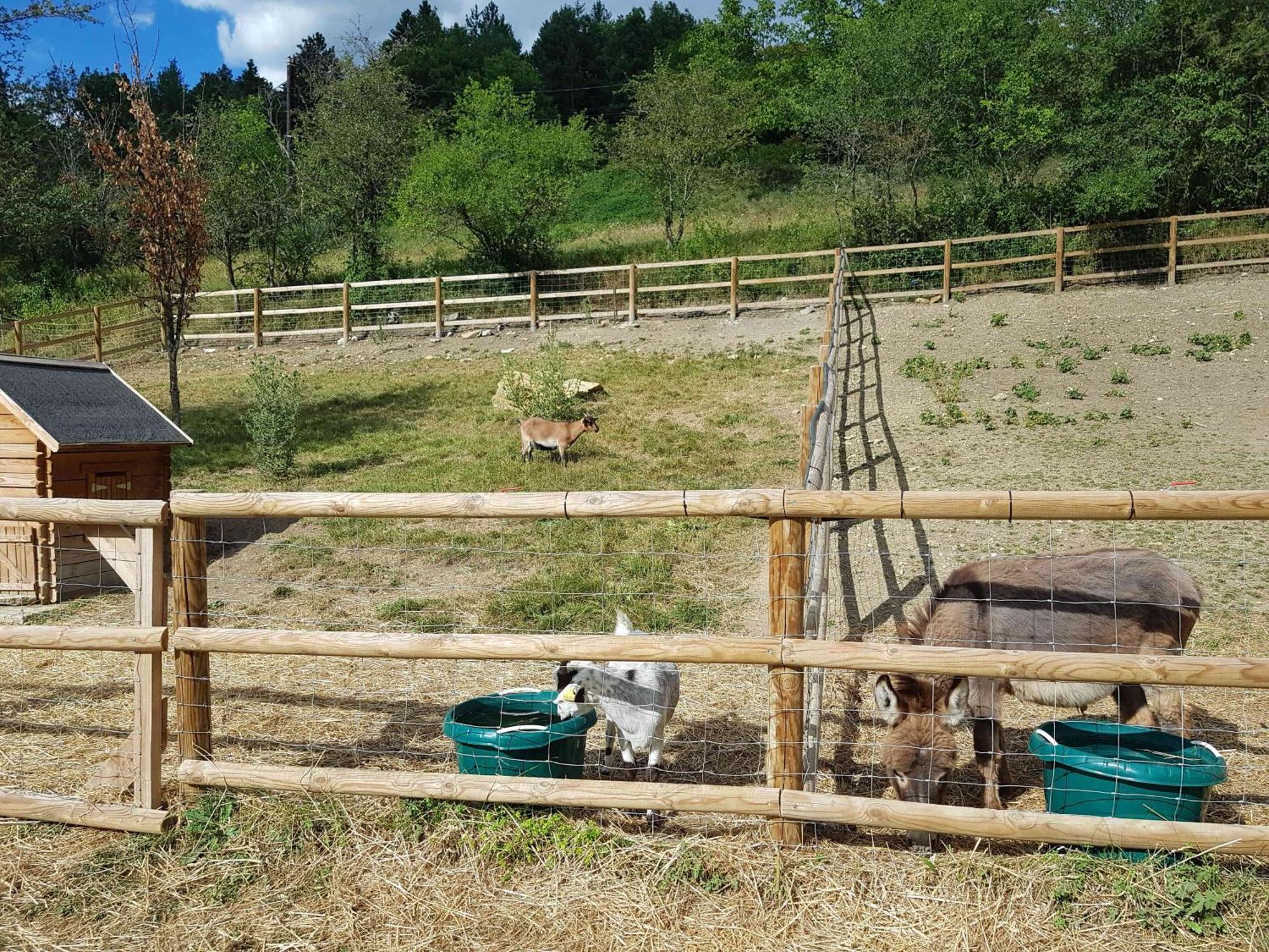 Camping La Ferme De Castellane Kültér fotó