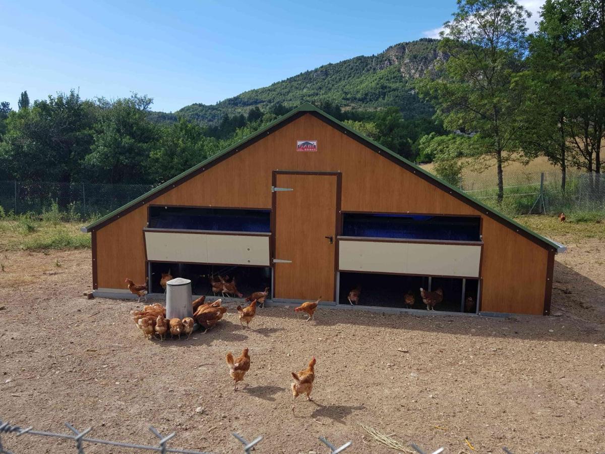 Camping La Ferme De Castellane Kültér fotó