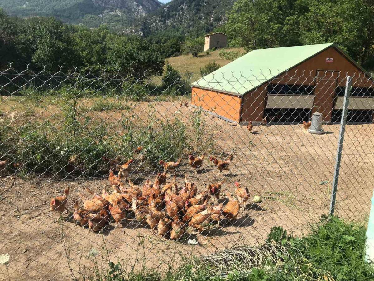 Camping La Ferme De Castellane Kültér fotó