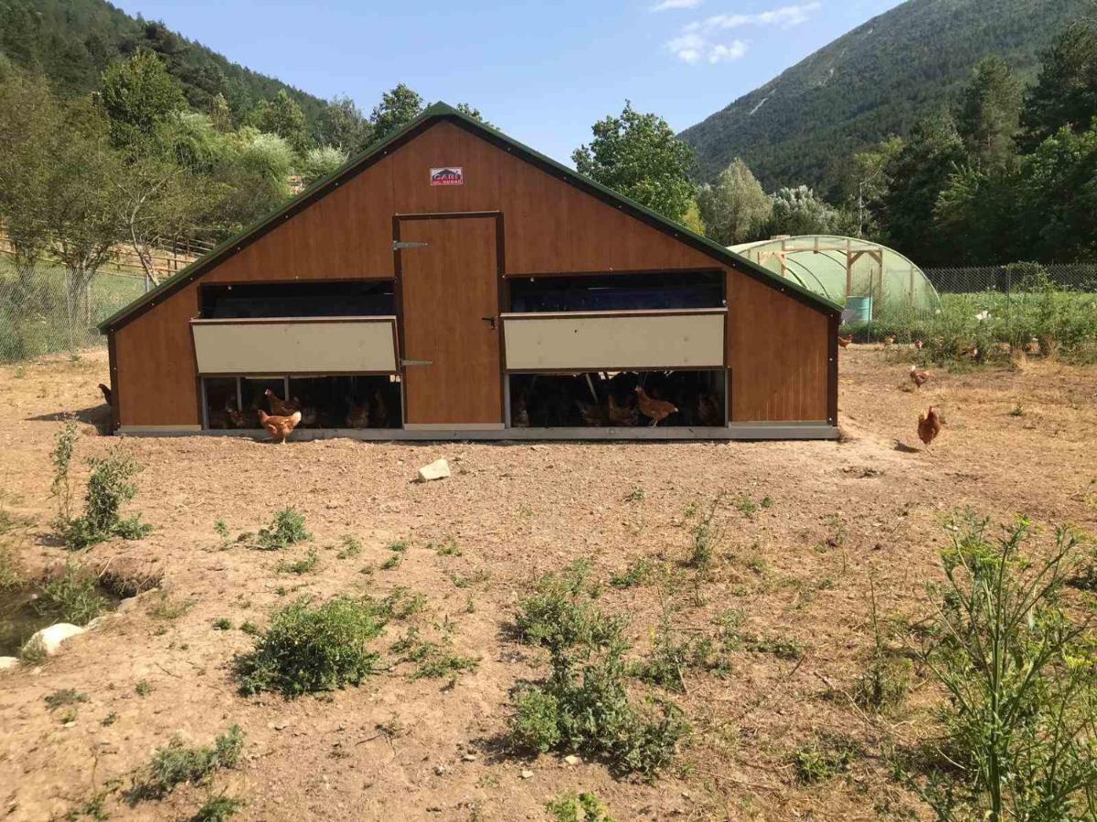 Camping La Ferme De Castellane Kültér fotó