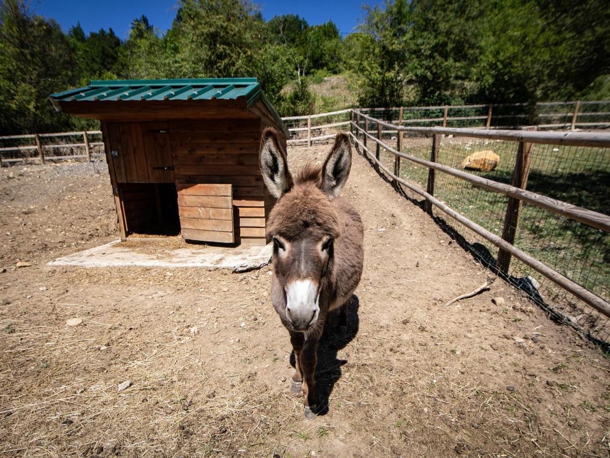 Camping La Ferme De Castellane Kültér fotó
