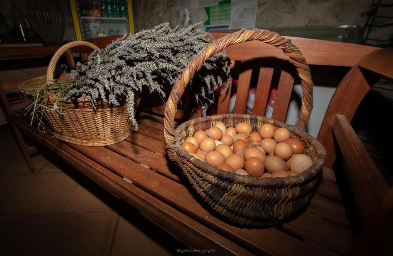 Camping La Ferme De Castellane Kültér fotó