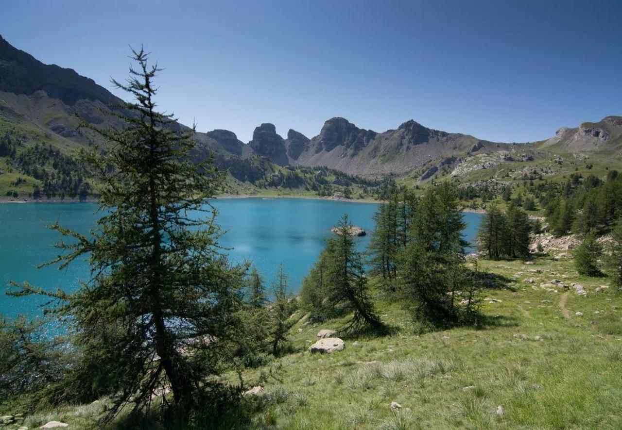 Camping La Ferme De Castellane Kültér fotó